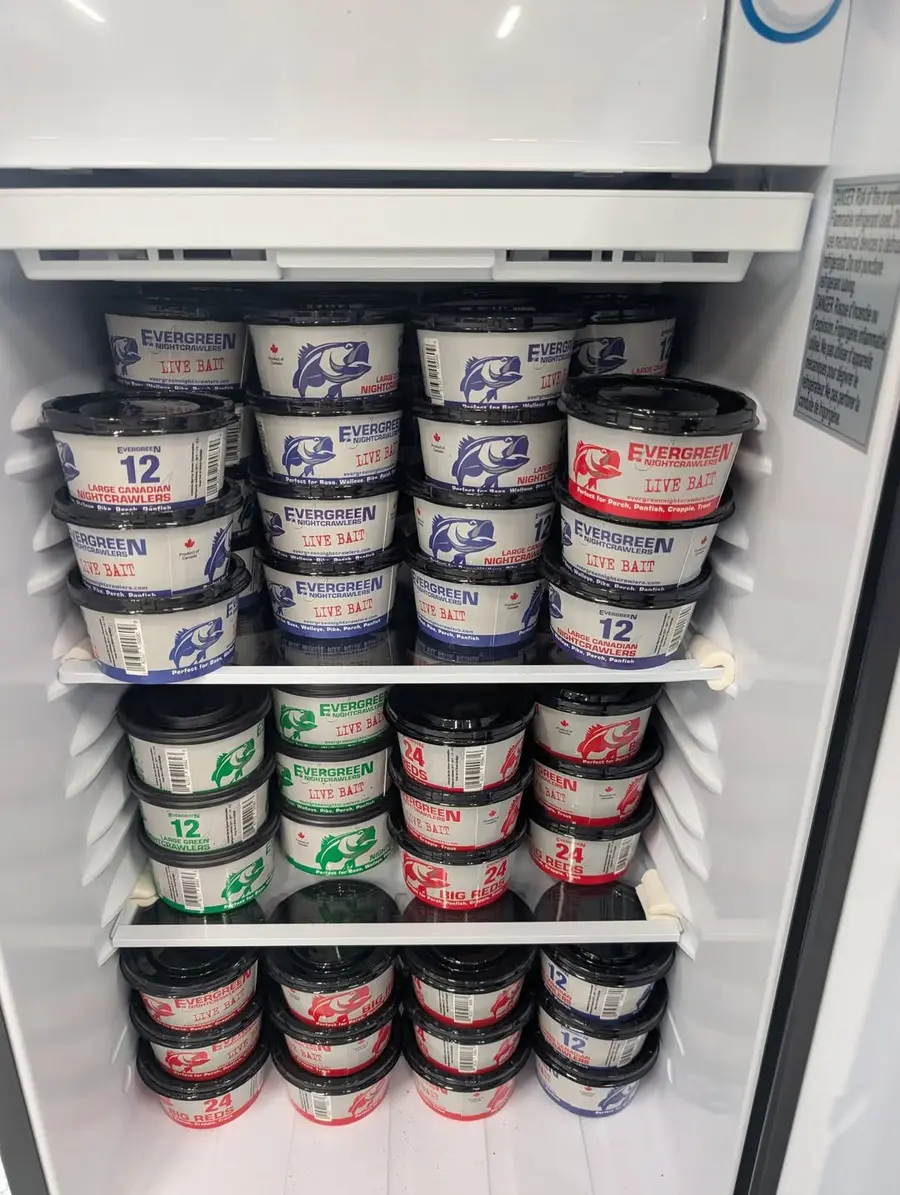 Fridge stocked with tubs of live bait